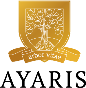 Мингазов Айнур Альбертович